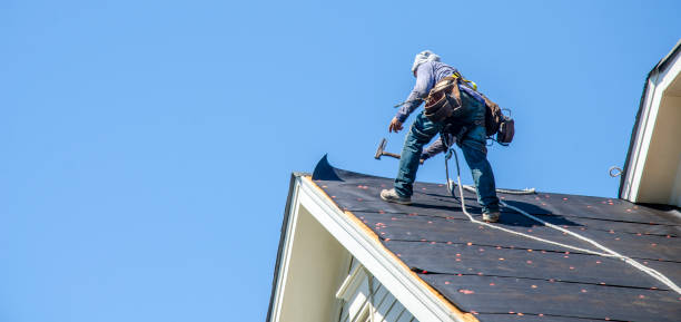 Best Roof Maintenance Services  in Wyndham, VA